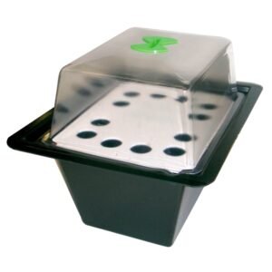 images2flr culinv0005.jpg