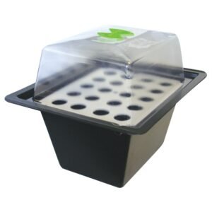 images2flr culinv0006.jpg